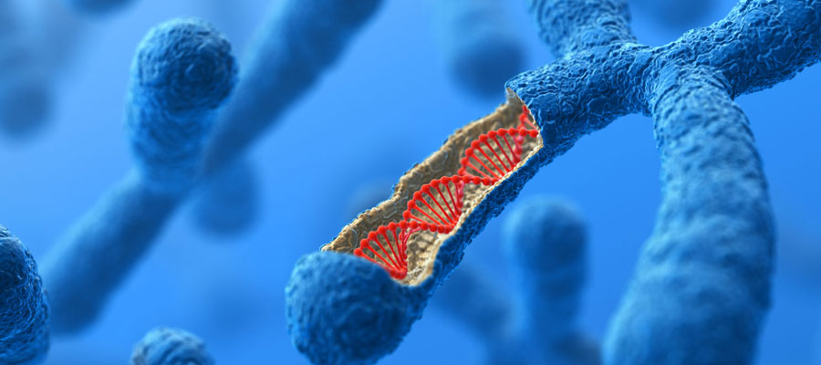 خرید و دانلود گزارش کار آزمایشگاه ژنتیک 2 (ژنتیک مولکولی)