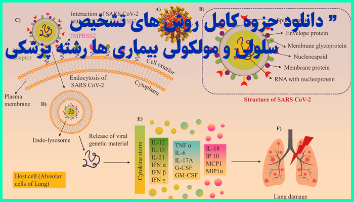 خرید و دانلود جزوه کامل روش های تشخیص سلولی و مولکولی بیماری ها رشته پزشکی